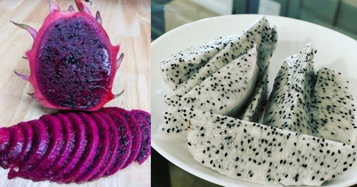Purple Dragon Fruit 